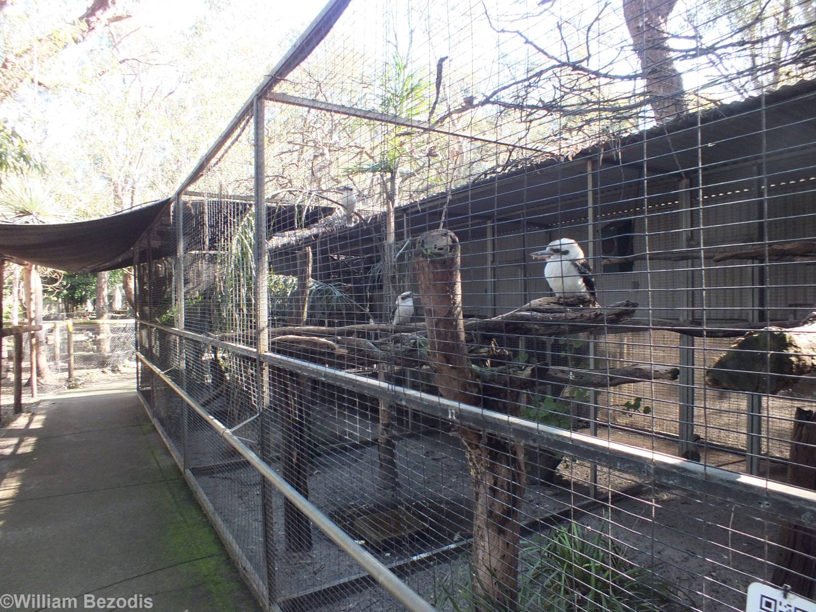 Predatory Birds Enclosure