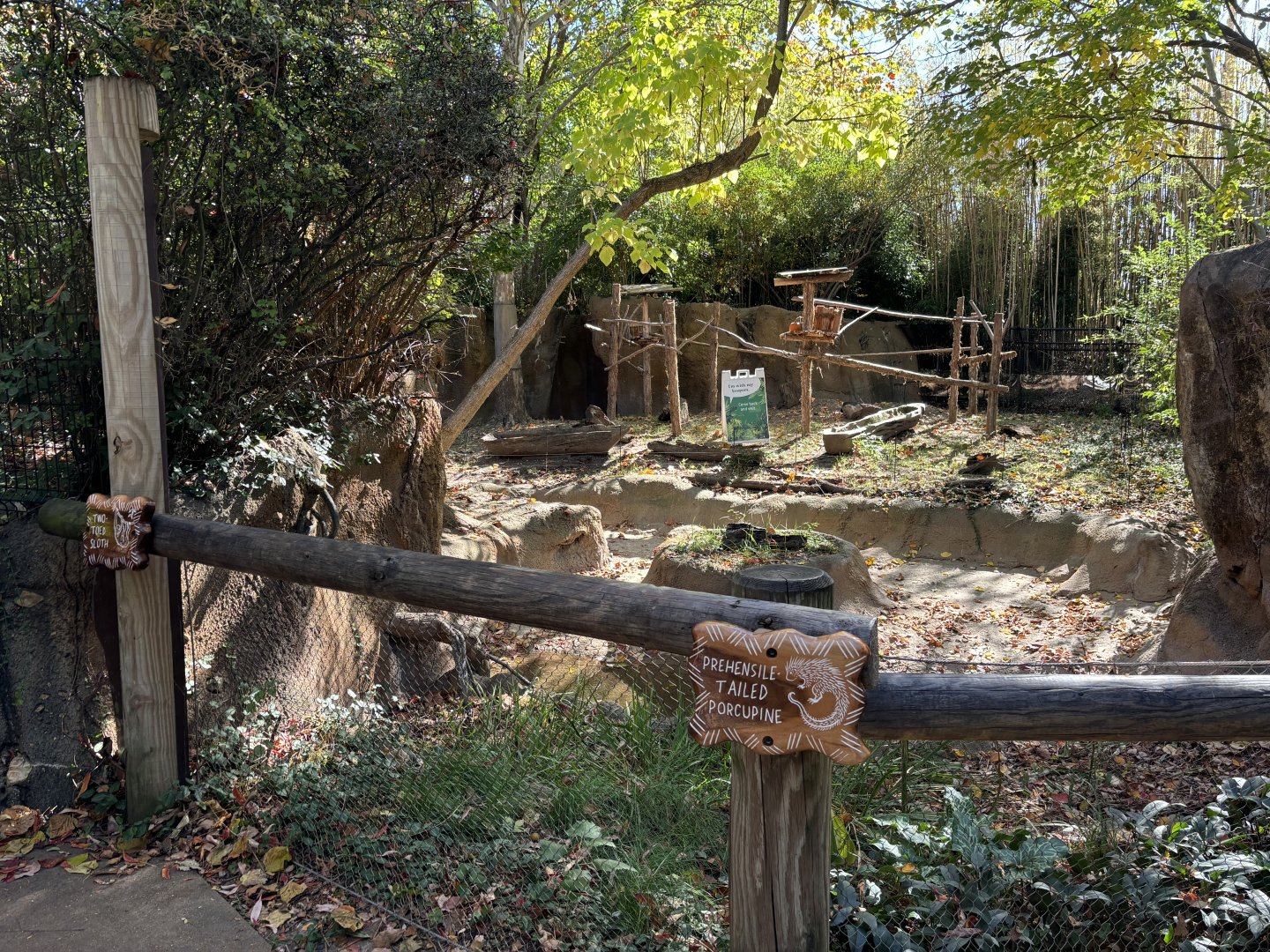 Prehensile Tailed Porcupine and Sloth Exhibit