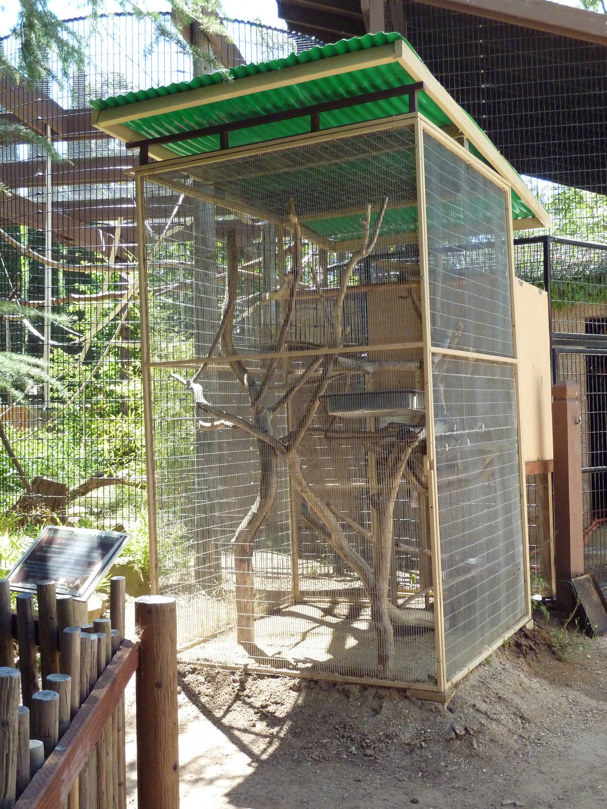 Prehensile-Tailed Porcupine Exhibit