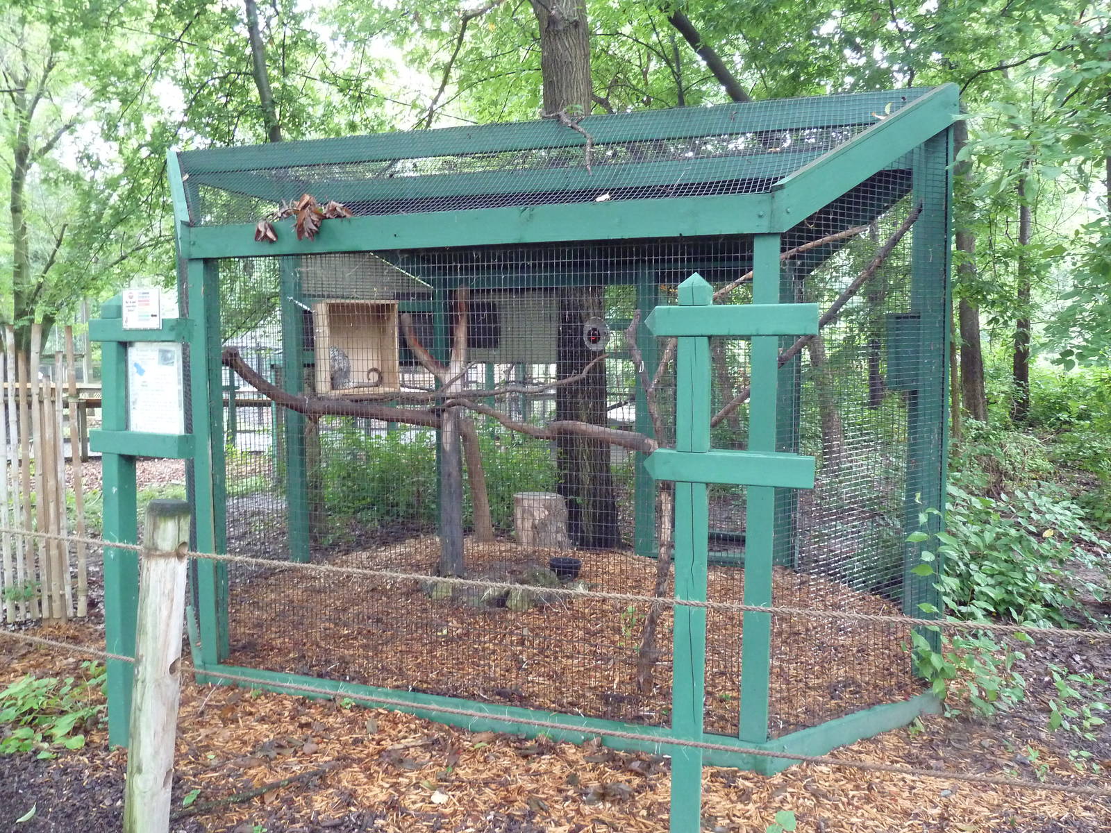 Prehensile-Tailed Porcupine Exhibit