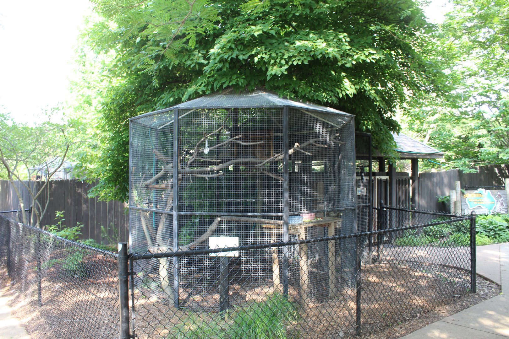 Prehensile-tailed Porcupine Exhibit