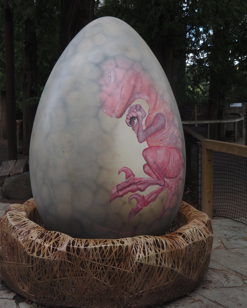 Prehi Daiza: Lands of the Past - Dinosaur embryo painting on giant egg, 2025-09-01