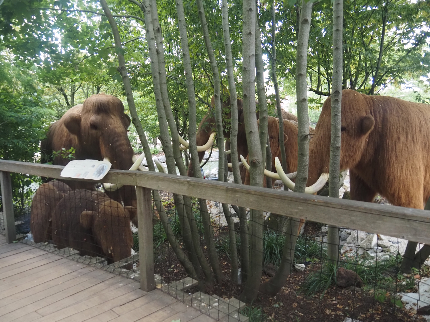 Prehi Daiza: Lands of the Past - Land of the Mammoths - Woolly mammoth animatronic models, 2025-09-01