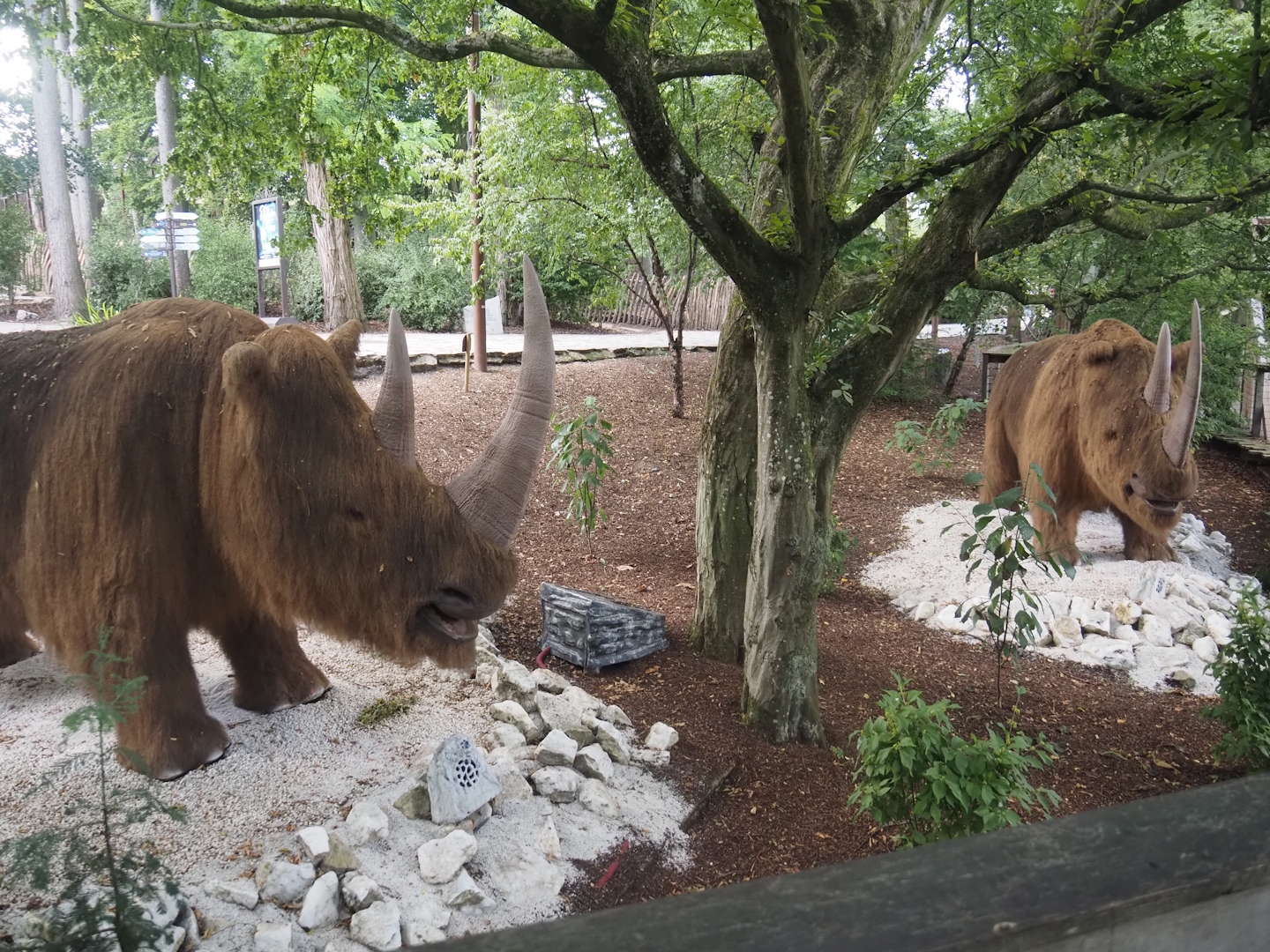 Prehi Daiza: Lands of the Past - Land of the Mammoths - Woolly rhinoceros animatronic models, 2025-09-01