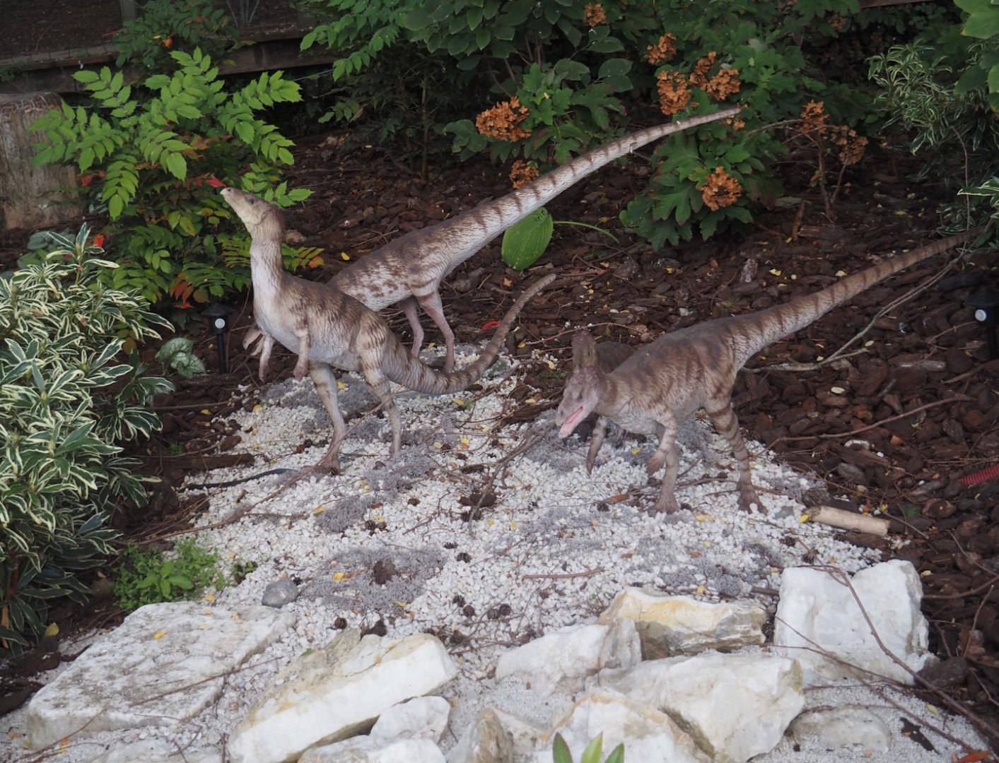 Prehi Daiza: Lands of the Past - Polar Zone with polar dinosaurs - Leaellynasaura animatronic models, 2025-09-01