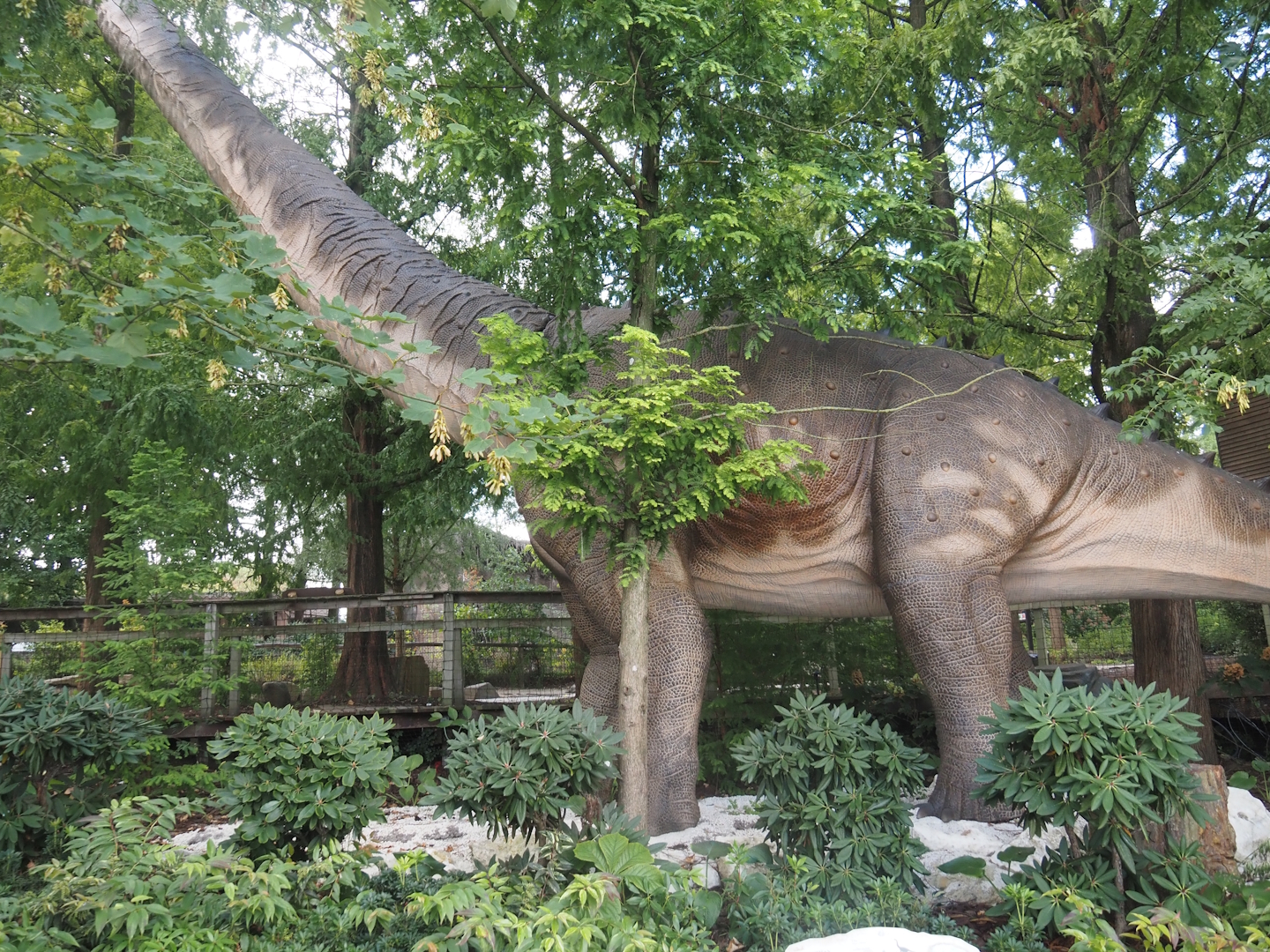 Prehi Daiza: Lands of the Past - Polar Zone with polar dinosaurs - Wintonotitan animatroinic model, 2025-09-01