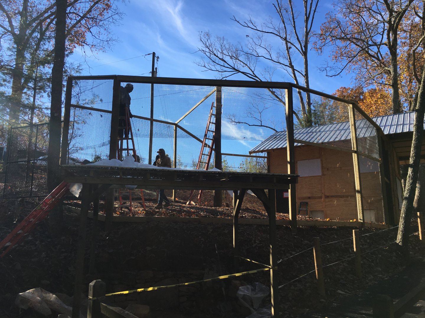 Prehistoric Applachians - Red Panda - 90% complete