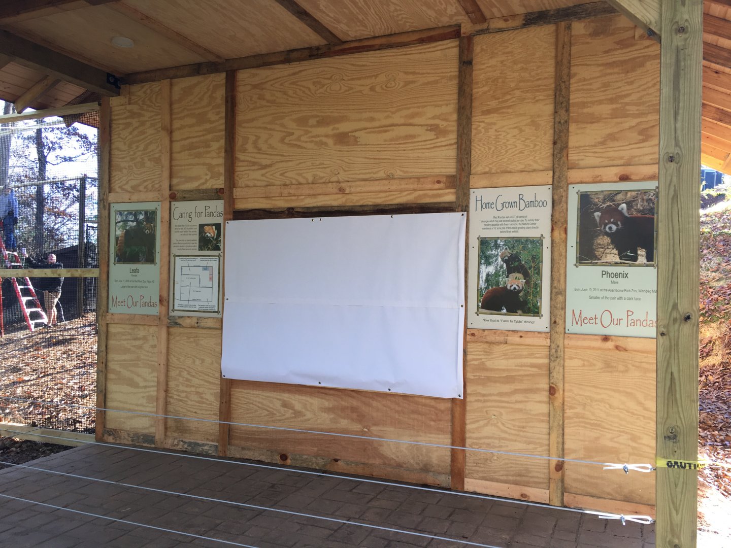 Prehistoric Applachians - Red Panda - building graphics