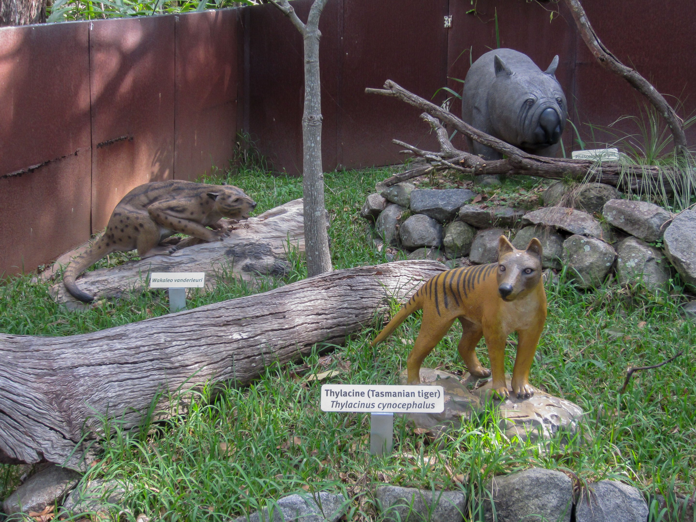 Prehistoric Australian Fauna