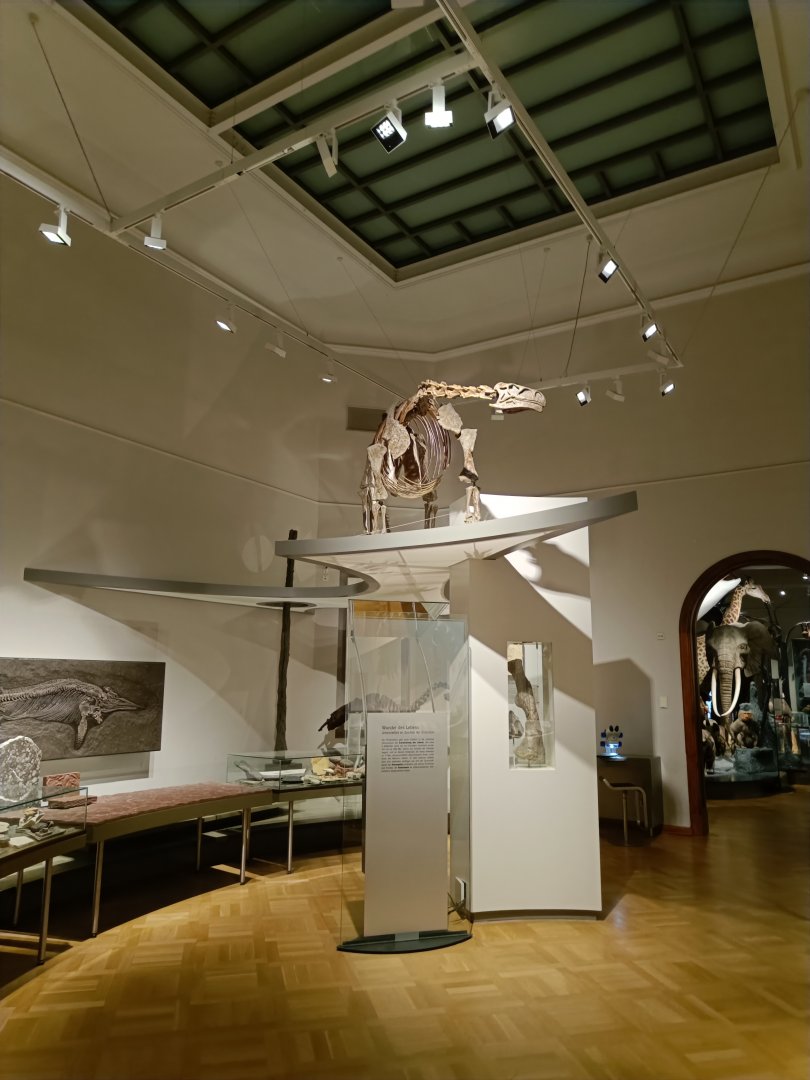 Prehistoric Gallery - Magdeburg Museum