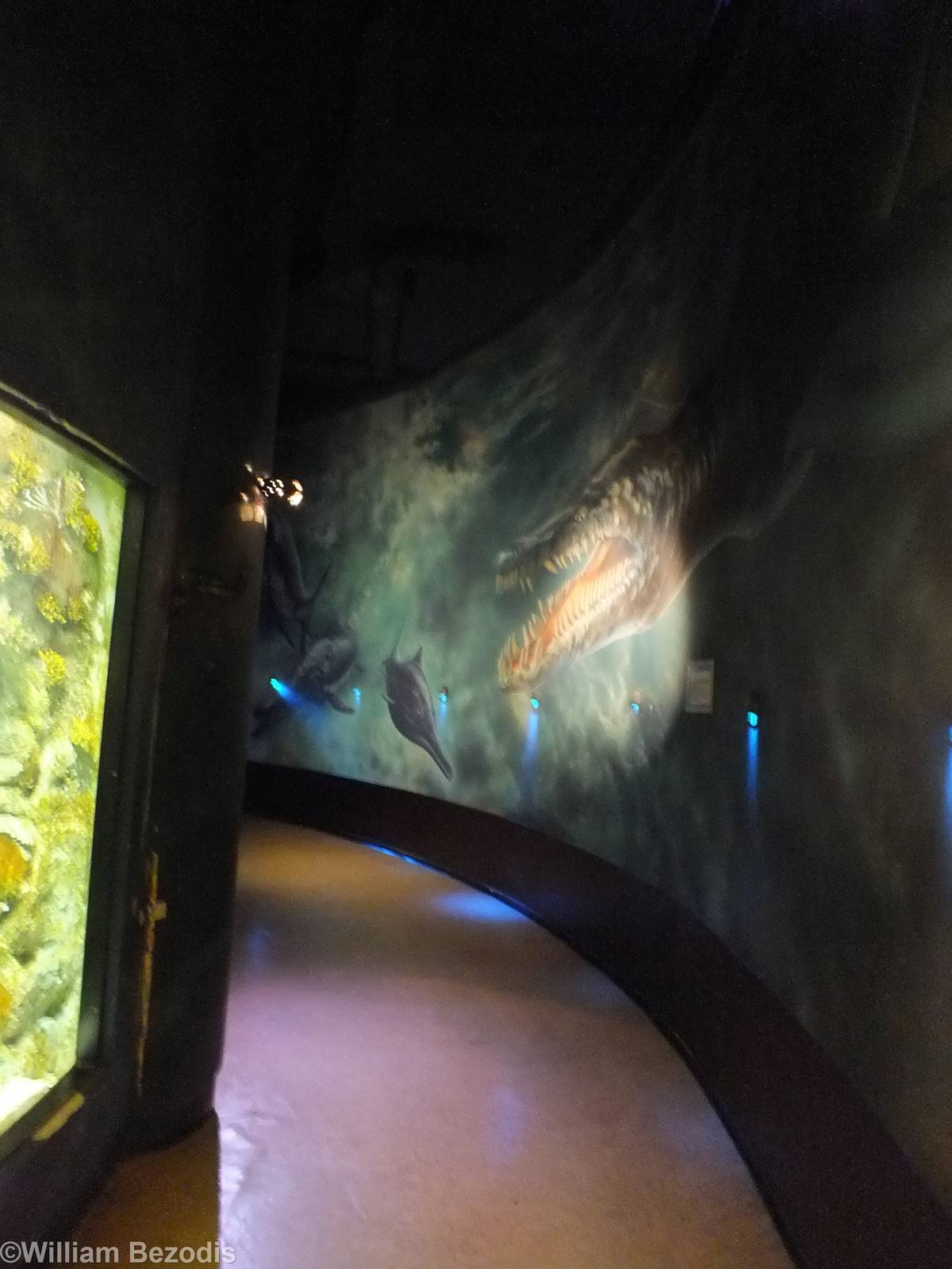 'Prehistoric Hallway'