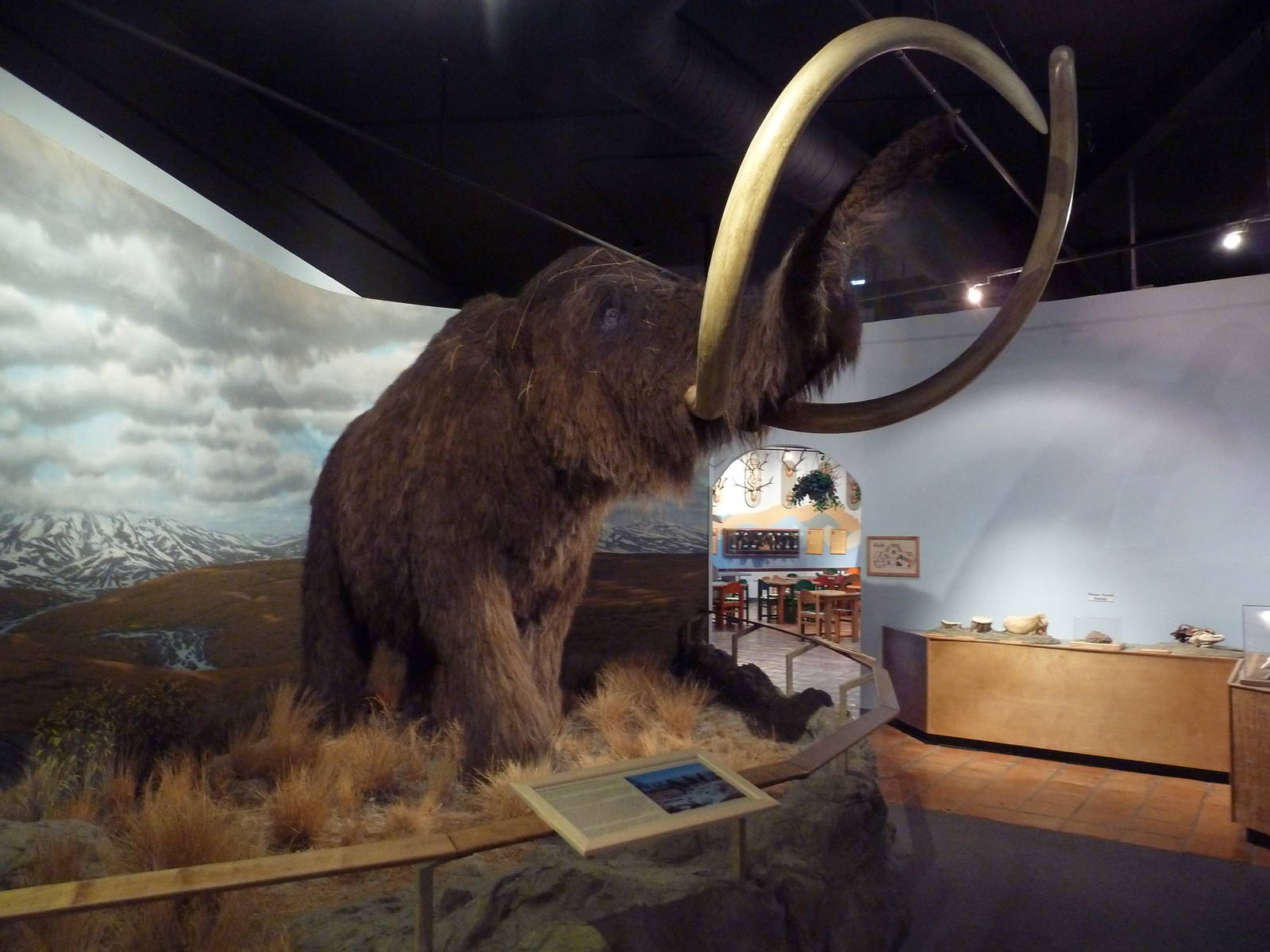 Prehistoric Mammals - Woolly Mammoth