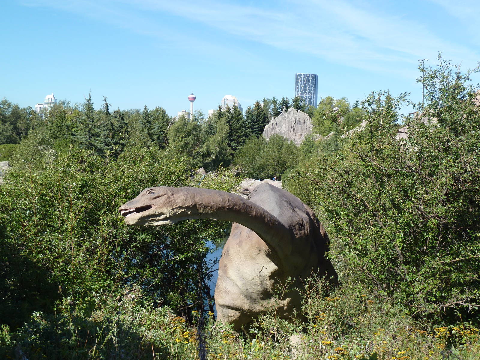 Prehistoric Park - Apatosaurus + Calgary Tower (in background)