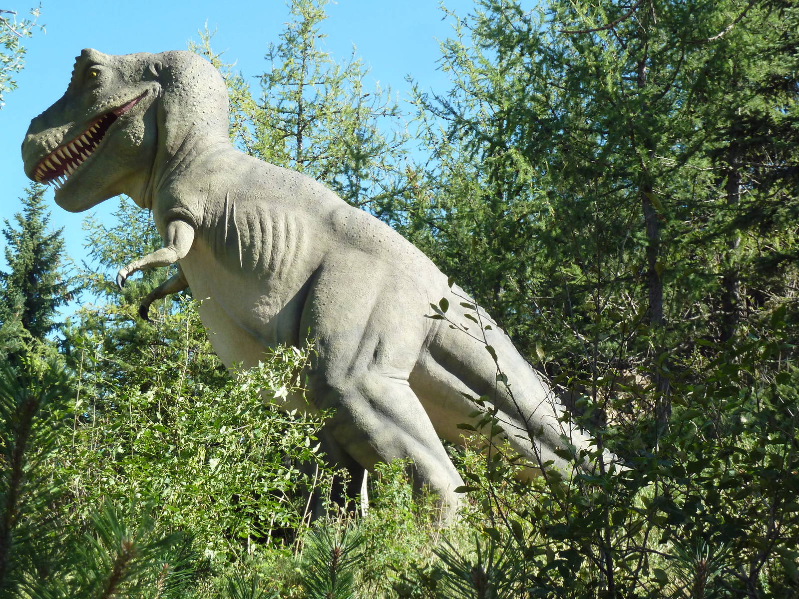 Prehistoric Park - Tyrannosaurus Rex