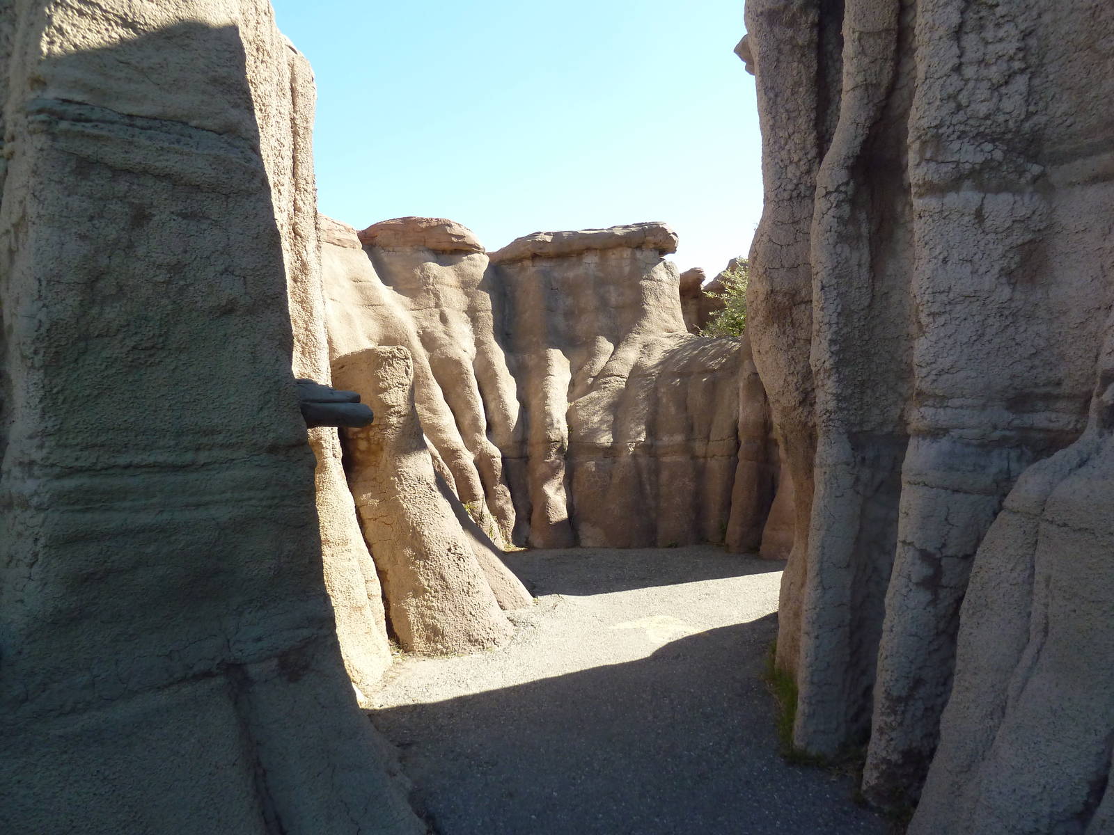 Prehistoric Park - Visitor Pathway