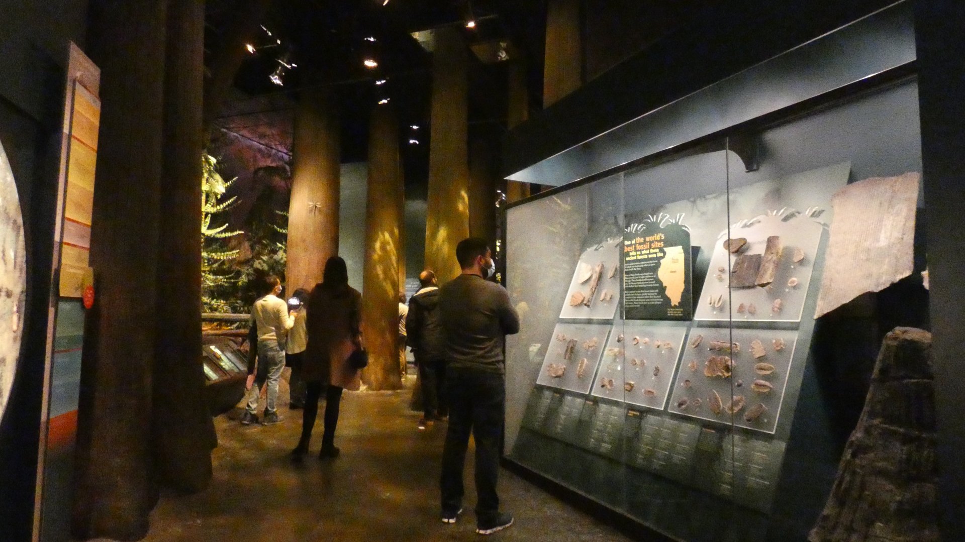 Prehistoric Swamp, Evolving Planet - Feb. 2022