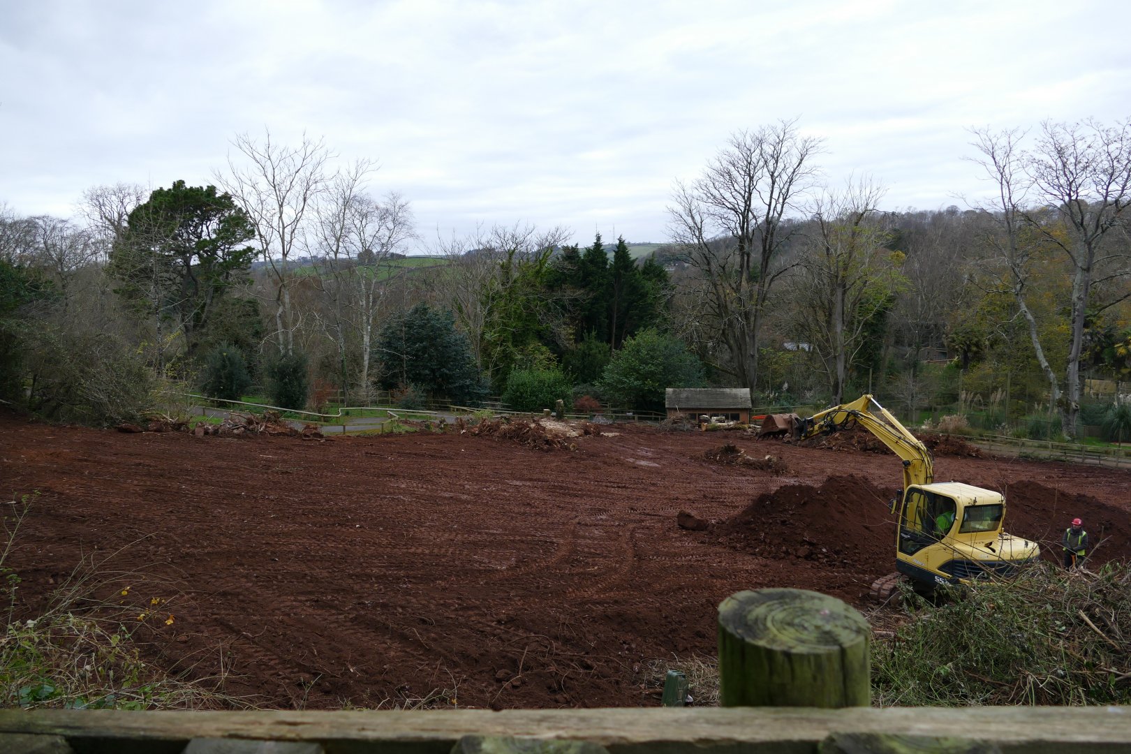 Preparations for the new Savannah, December 2017