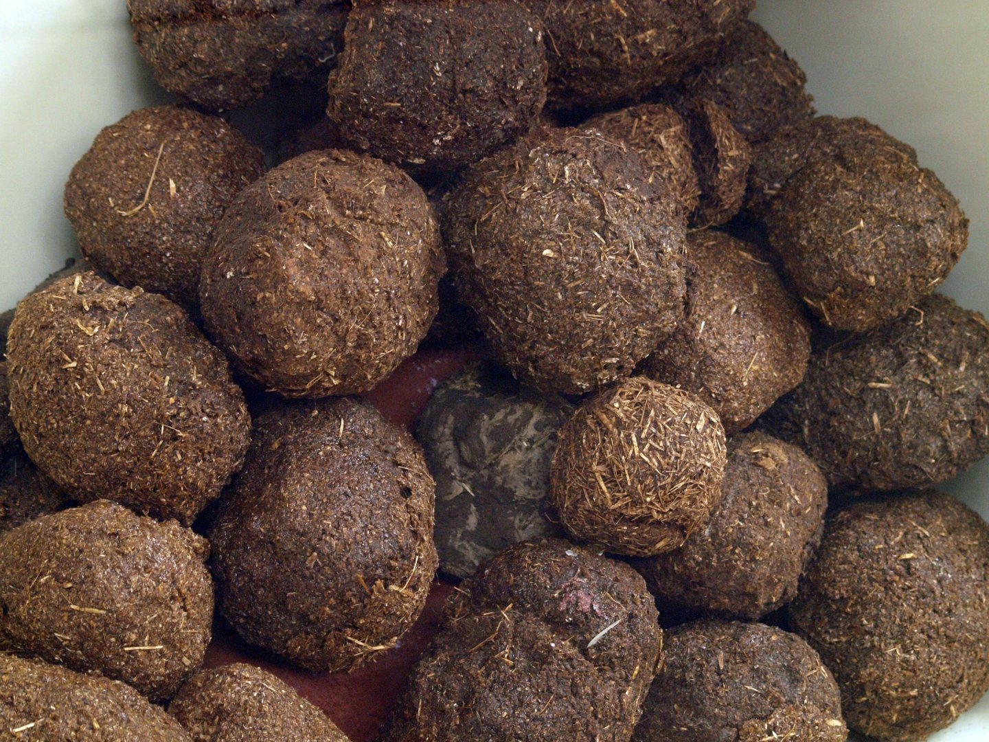 Preserved elephant dung
