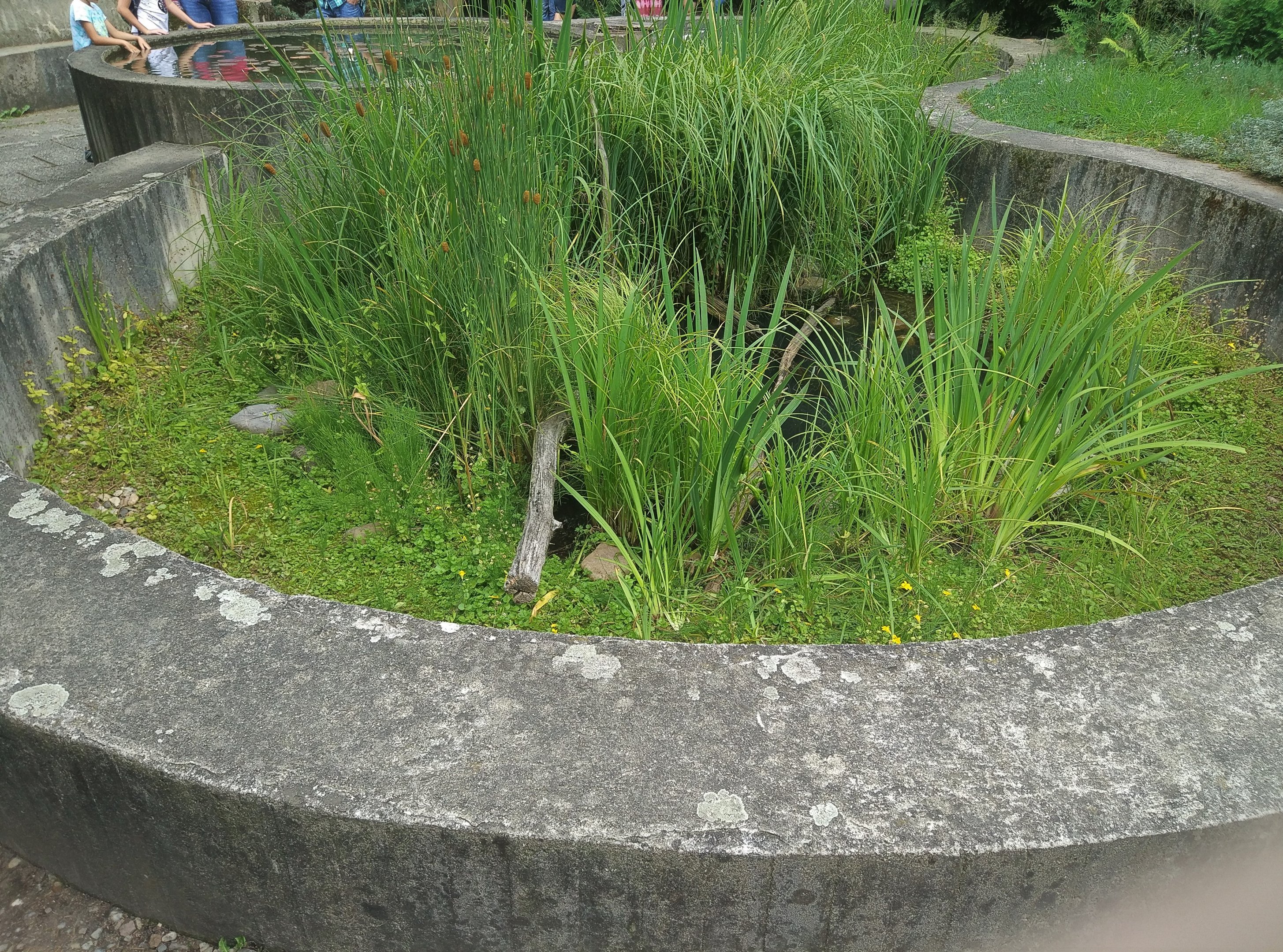 Presumably Native Terraria