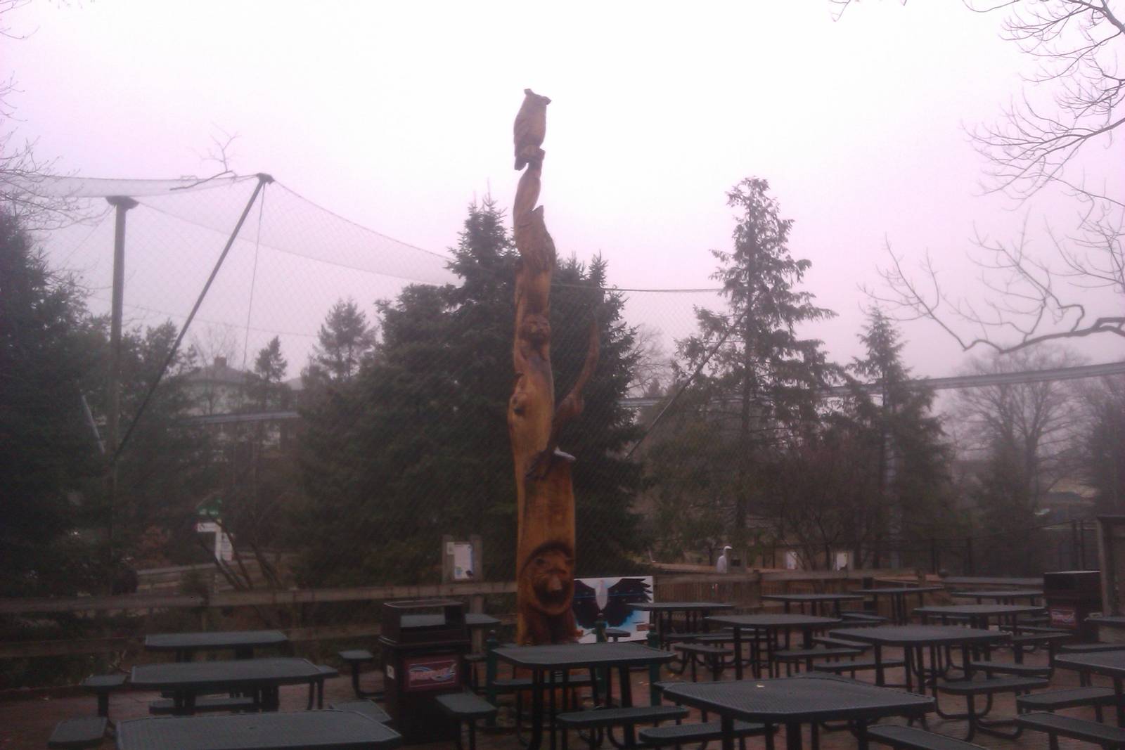 Pretty cool Wood Carving in front of the Bald Eagle exhibit