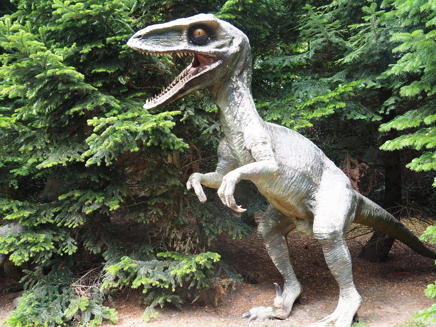 Pretty decrepit looking plastic Theropod/Dromaeosaurid dinosaur (Aug 28th, 2018)