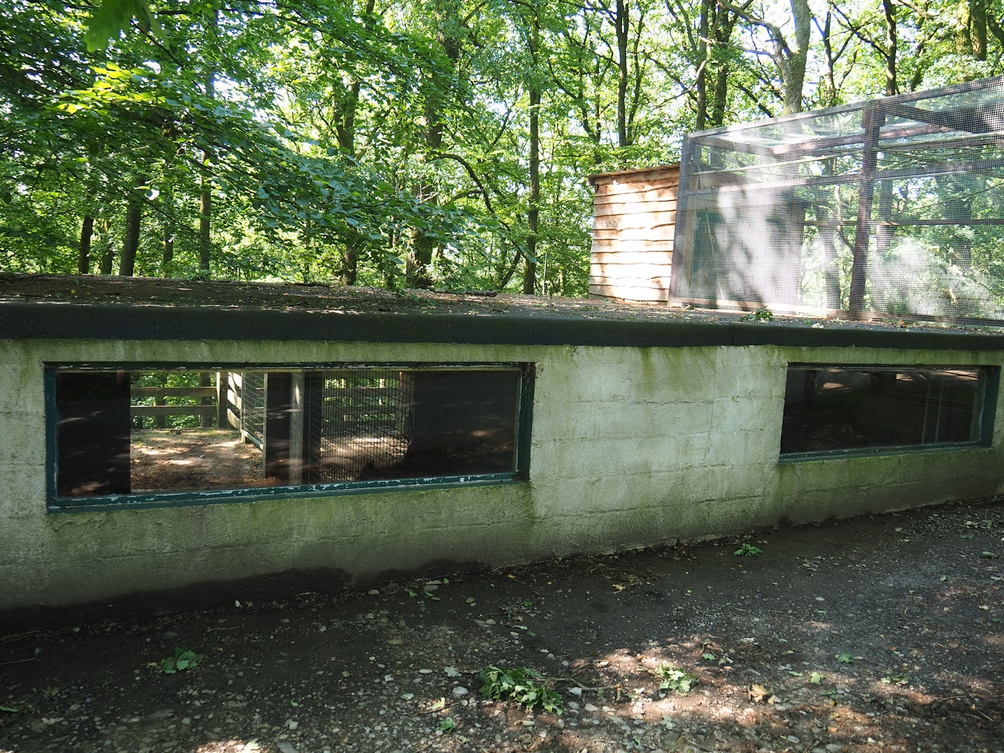 Pretty poor Blue wildebeest and Sable antelope barn, 2023-06-24