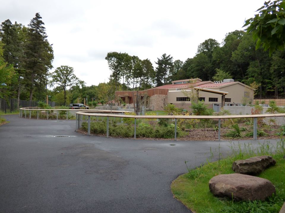 Preview of Africa Expansion - August 2018