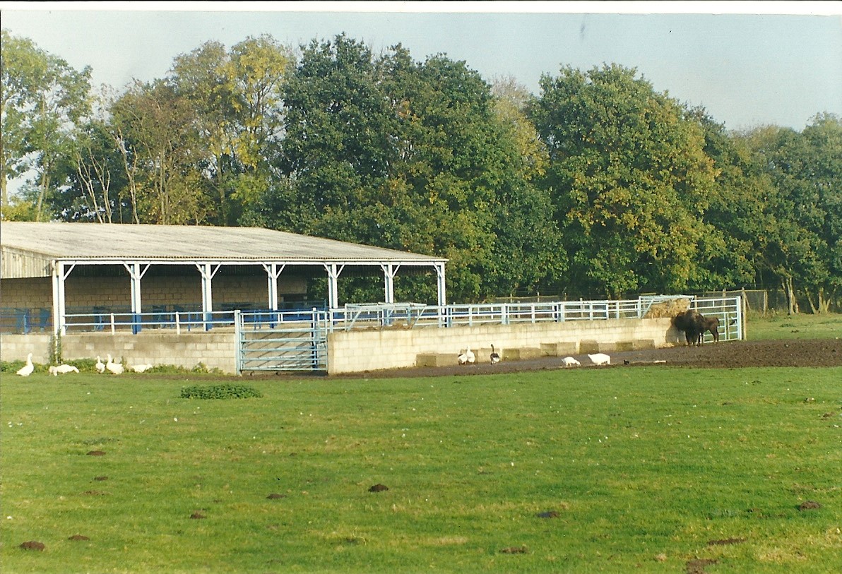 Previous incarnation of Rhino House 17th October 1997