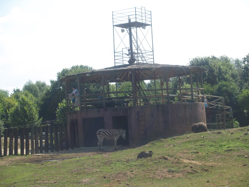 Previous savannah building (Photographed July 4th 2009)