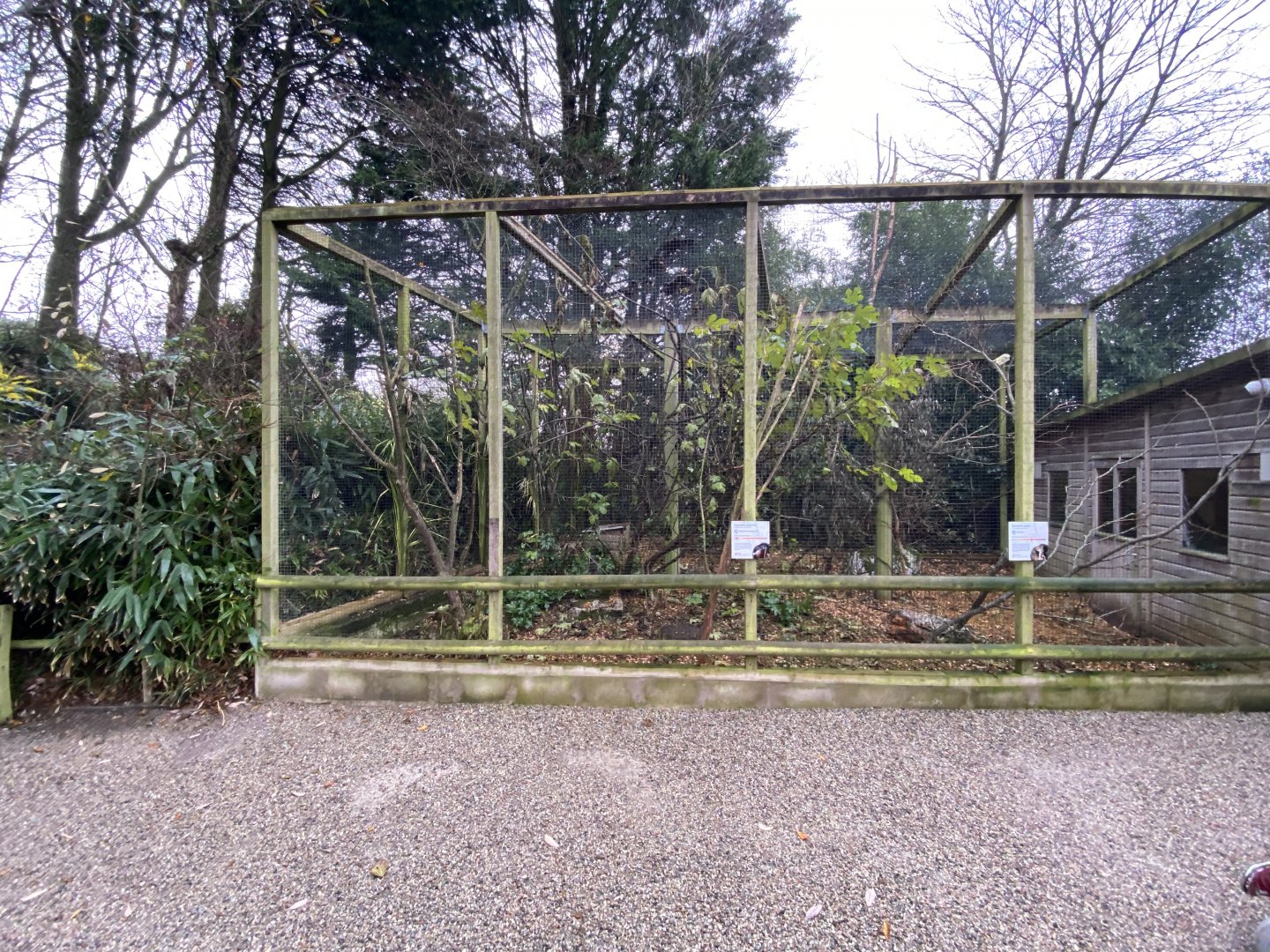 Prevost squirrel and Owston's civet enclosure 111221