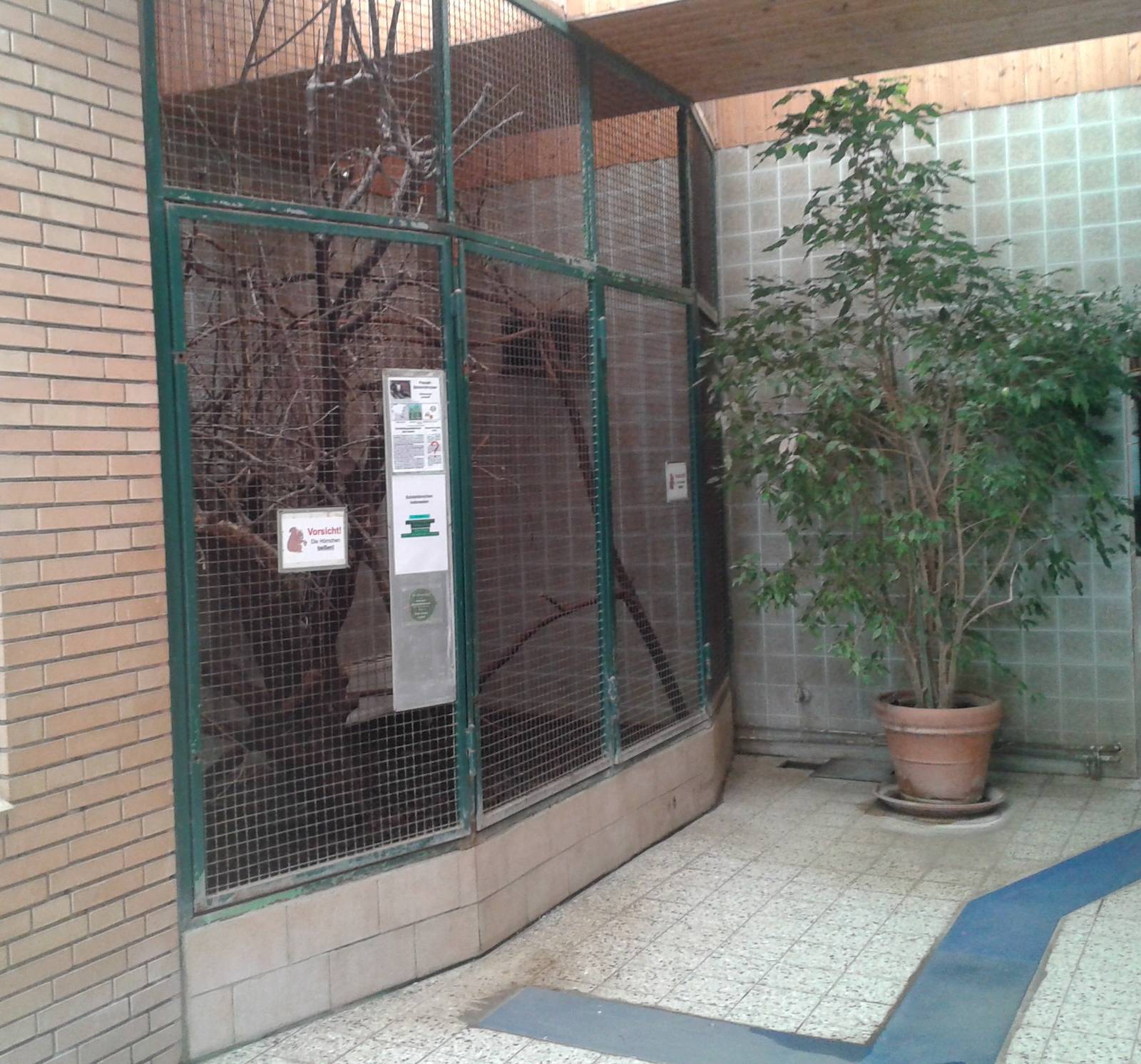 Prevost squirrel cage