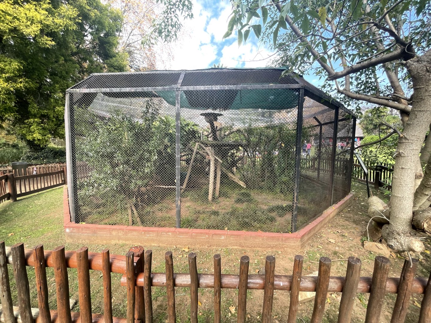 Prevost squirrel Enclosure (Callosciurus prevostii)