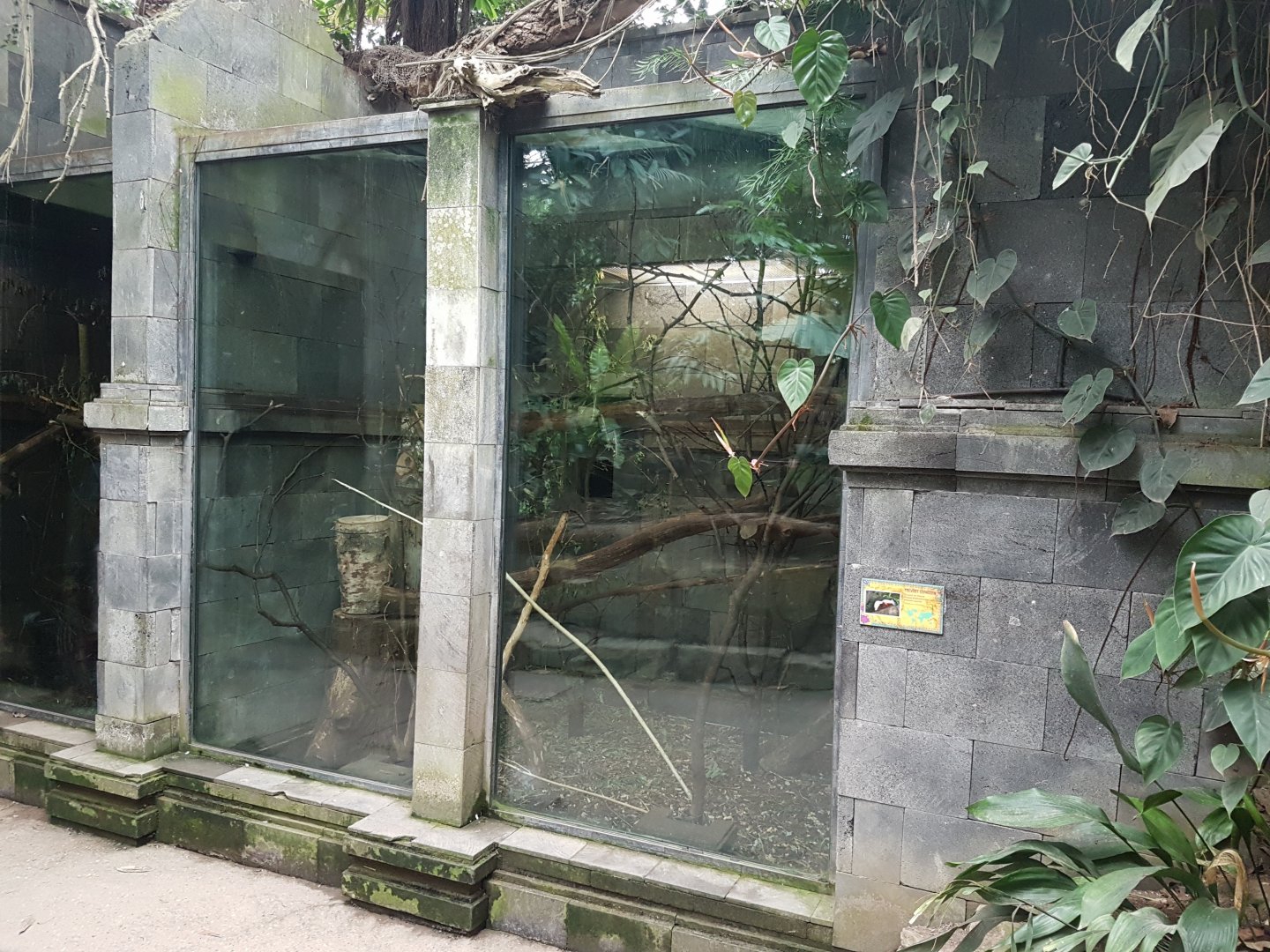 Prevost squirrel enclosure