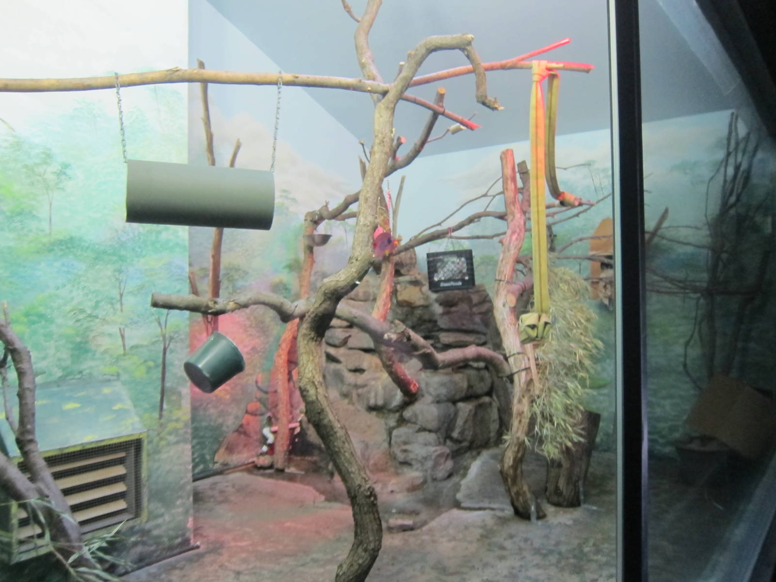 Prevost Squirrel Exhibit