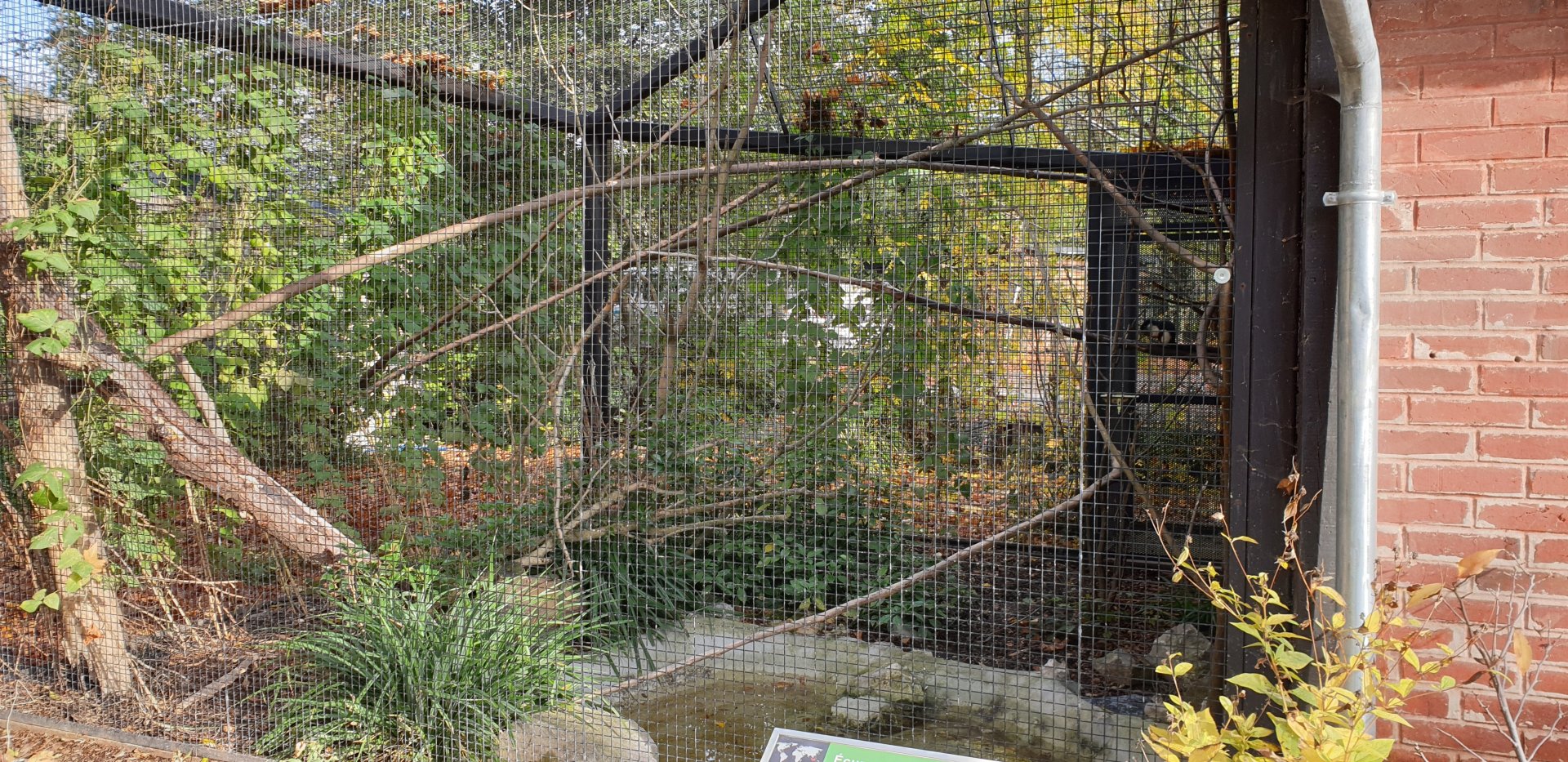 Prevost squirrel outdoor enclosure