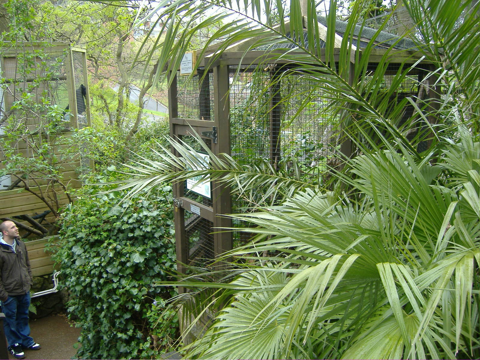 Prevost Squirrel Shaldon Zoo