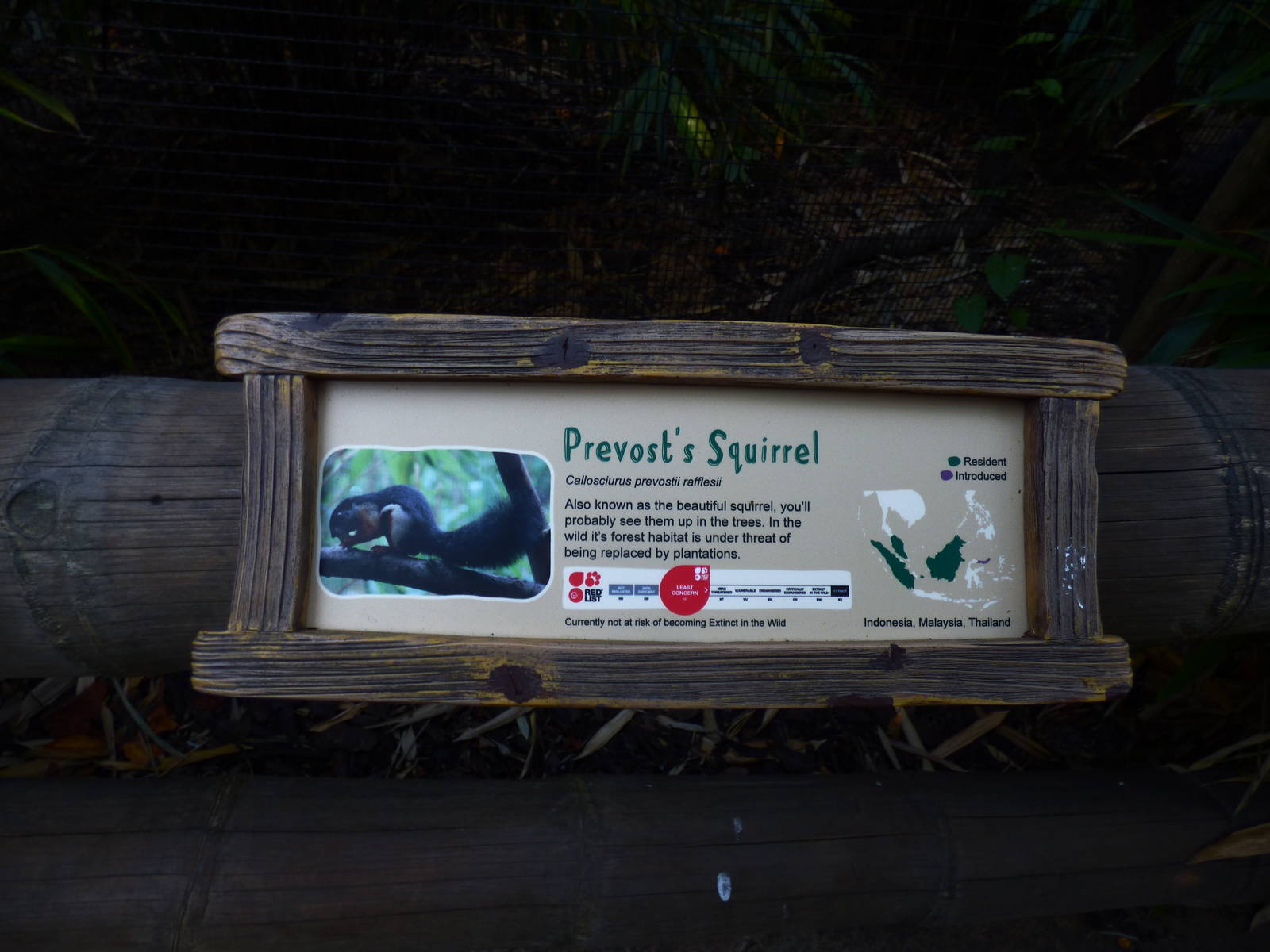 Prevost'd Squirrel Signage