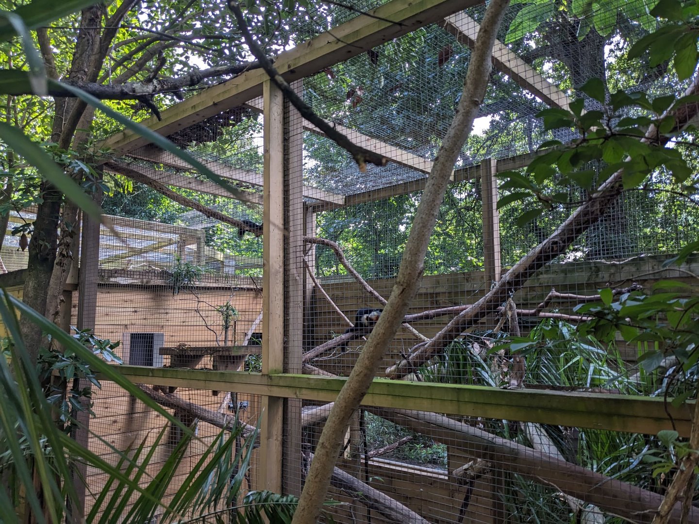 Prevost's Squirrel and Owston's Civet enclosure