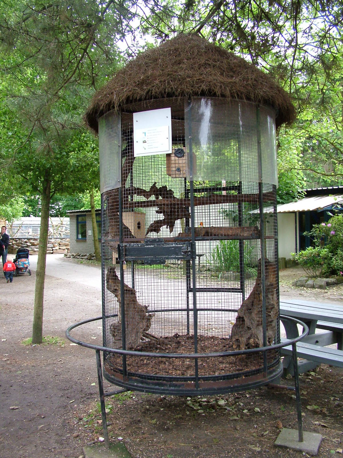 Prevost's Squirrel enclosure at NOP, Veldhoven 16/05/09