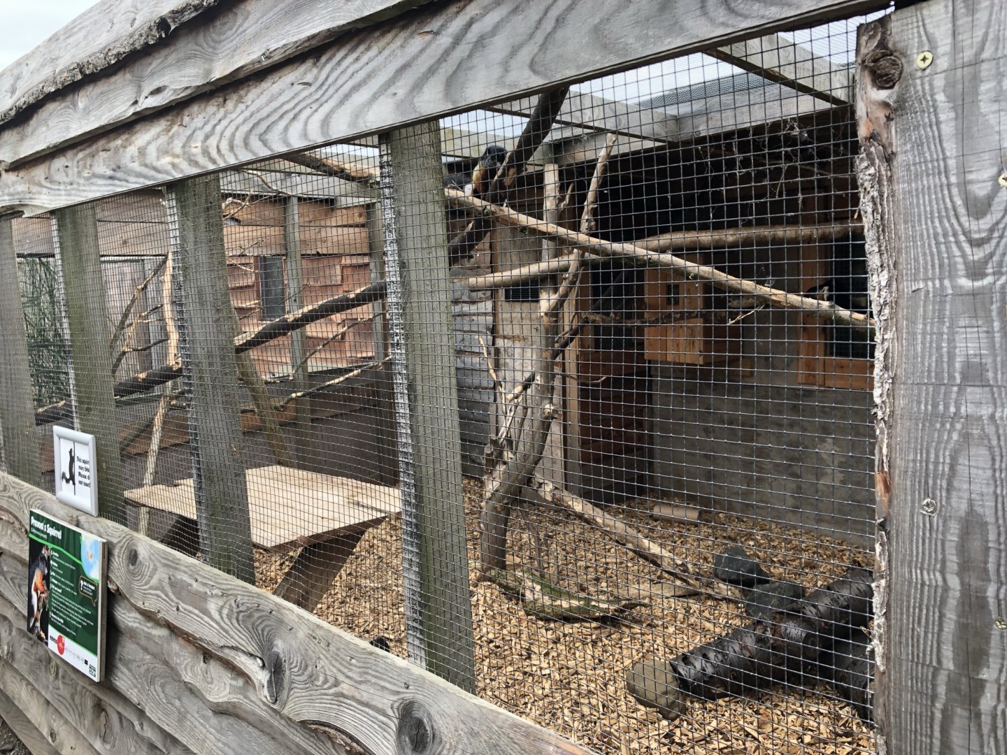 Prevost's Squirrel Enclosure at Northumberland Country Zoo (September 2021)