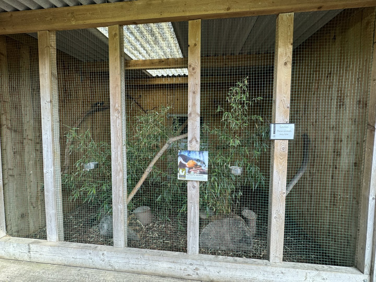 Prevost's Squirrel Enclosure at Wentworth Garden Centre (May 2025)