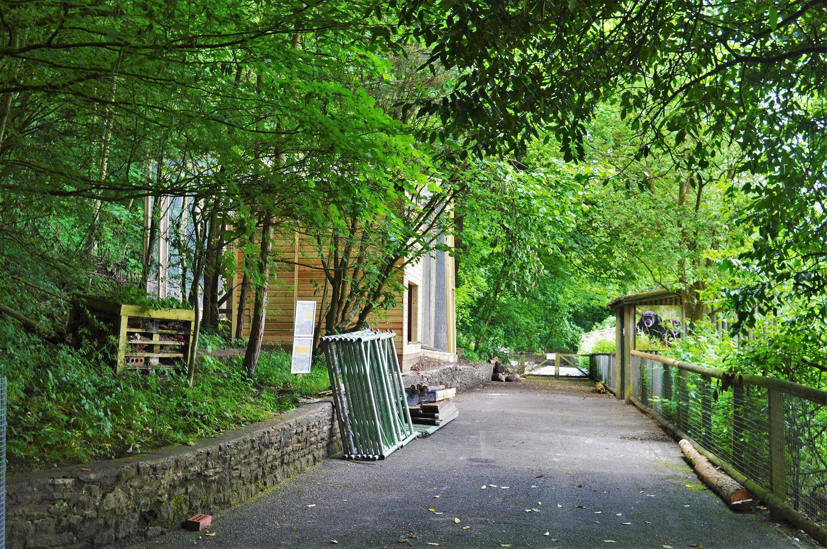 Prevost's squirrel enclosure under construction