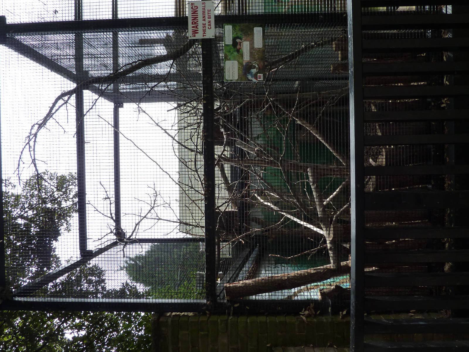 Prevost's squirrel enclosure