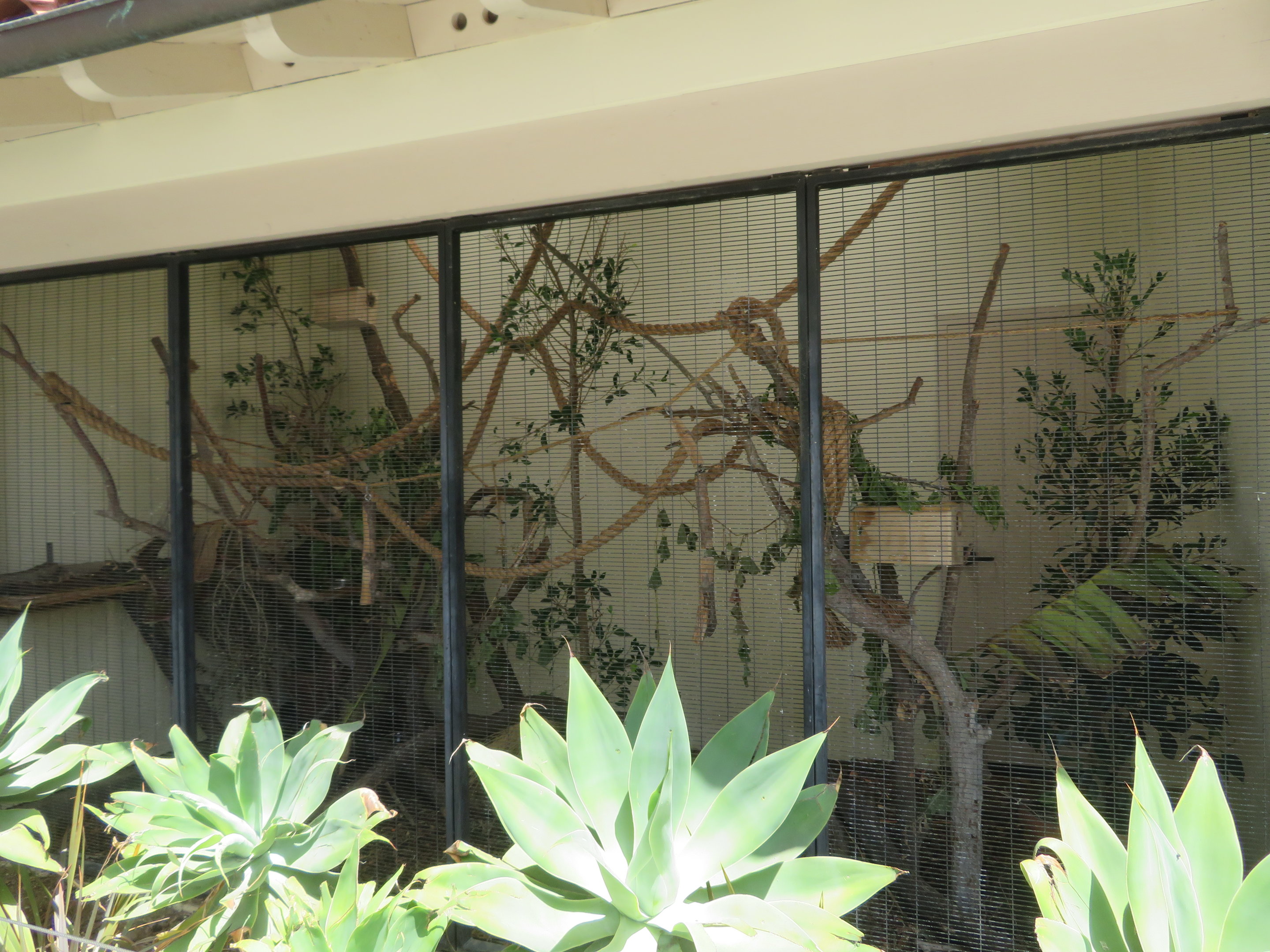 Prevost's Squirrel Enclosure