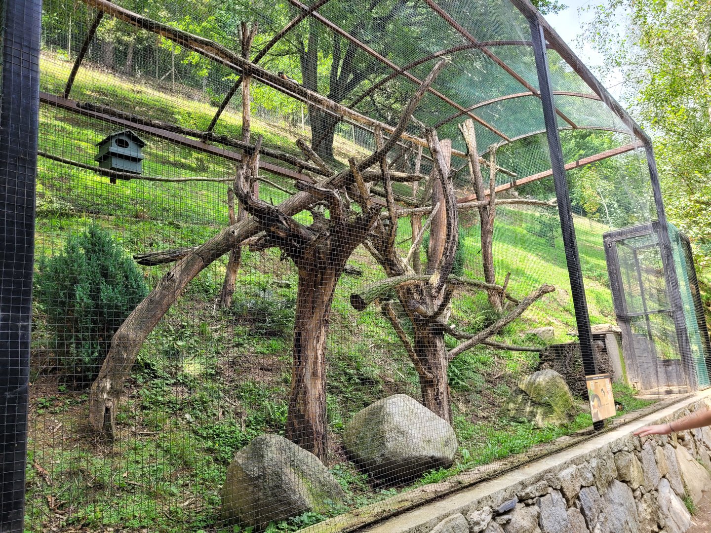 Prevost's squirrel exhibit -Parc Animalier des Pyrénées (2023)