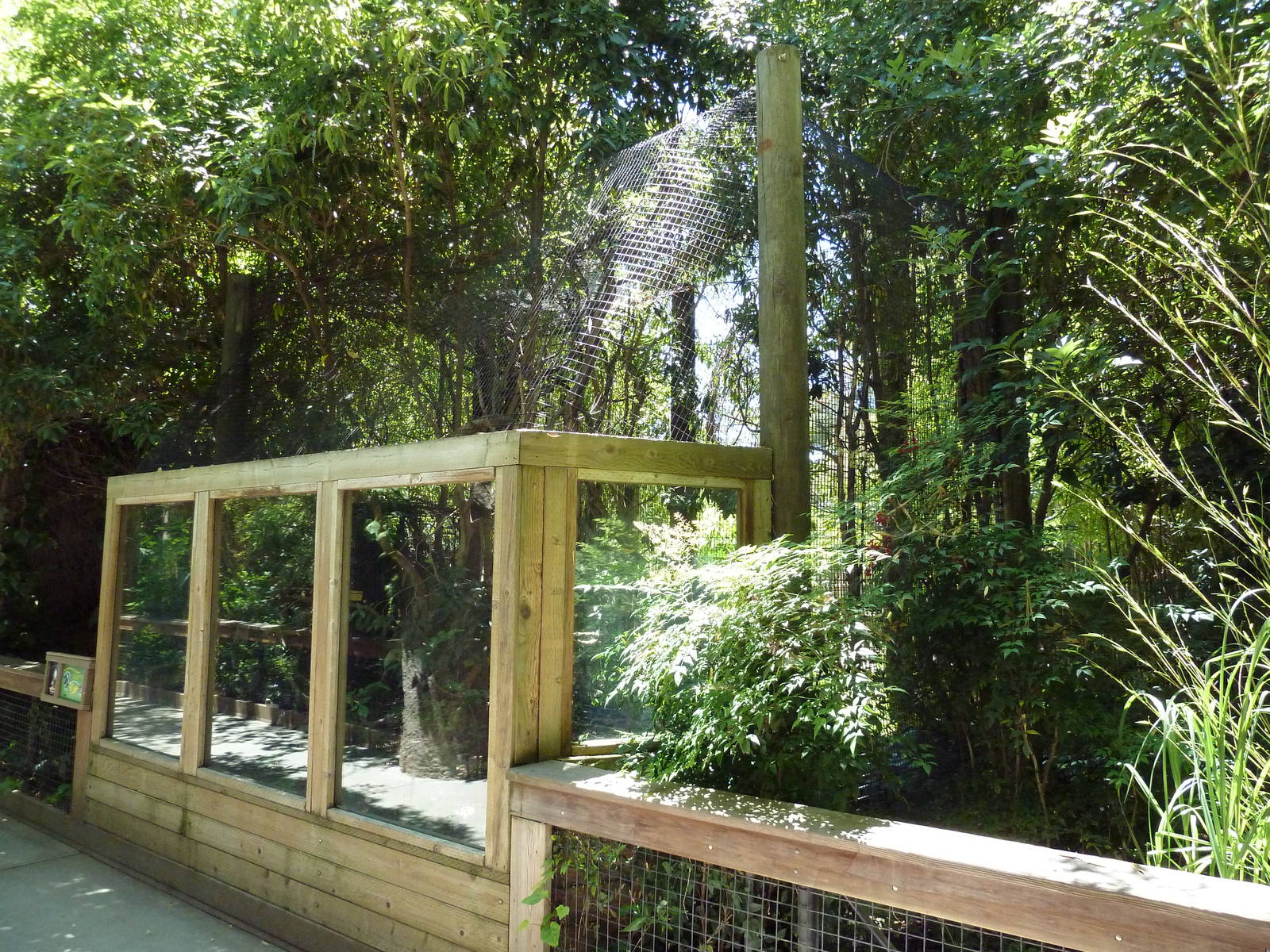 Prevost's Squirrel Exhibit