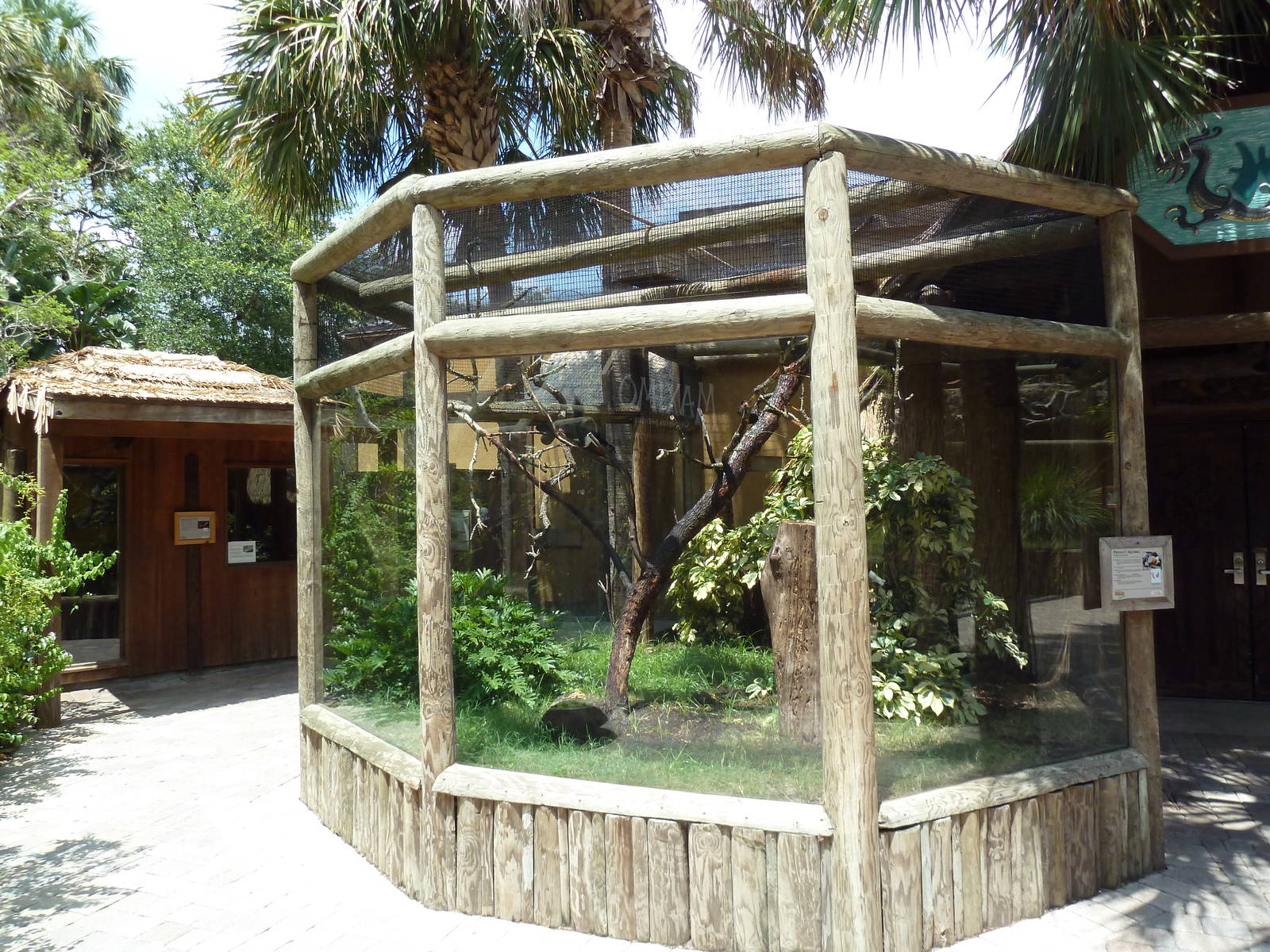 Prevost's Squirrel Exhibit