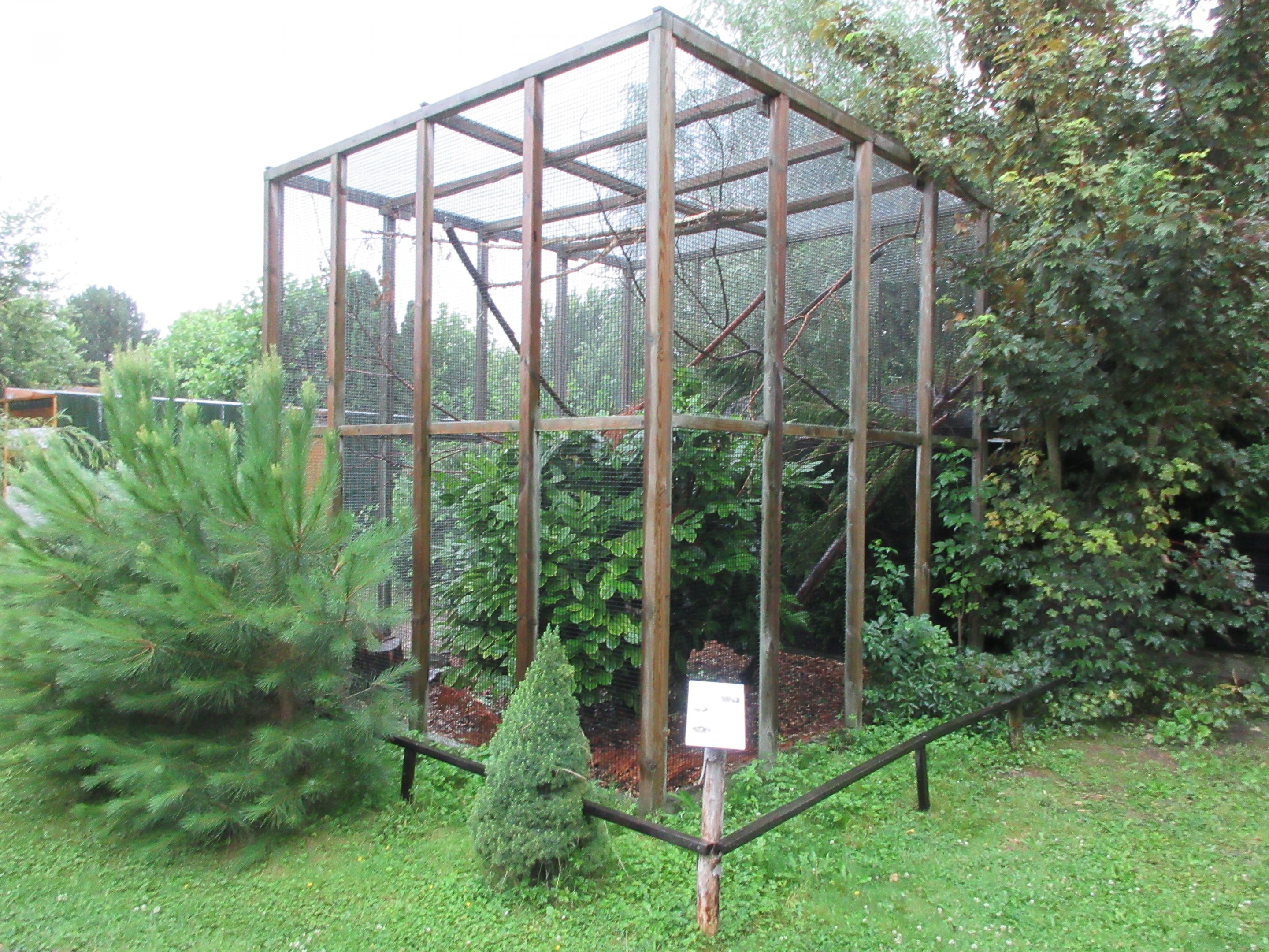 Prevost's Squirrel Exhibit