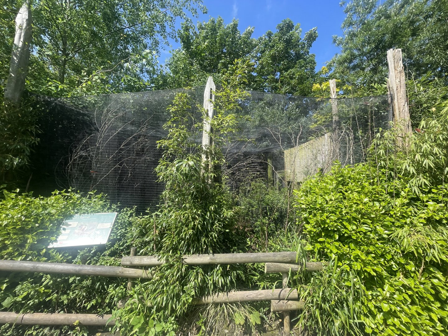 Prevost’s Squirrel Exhibit: