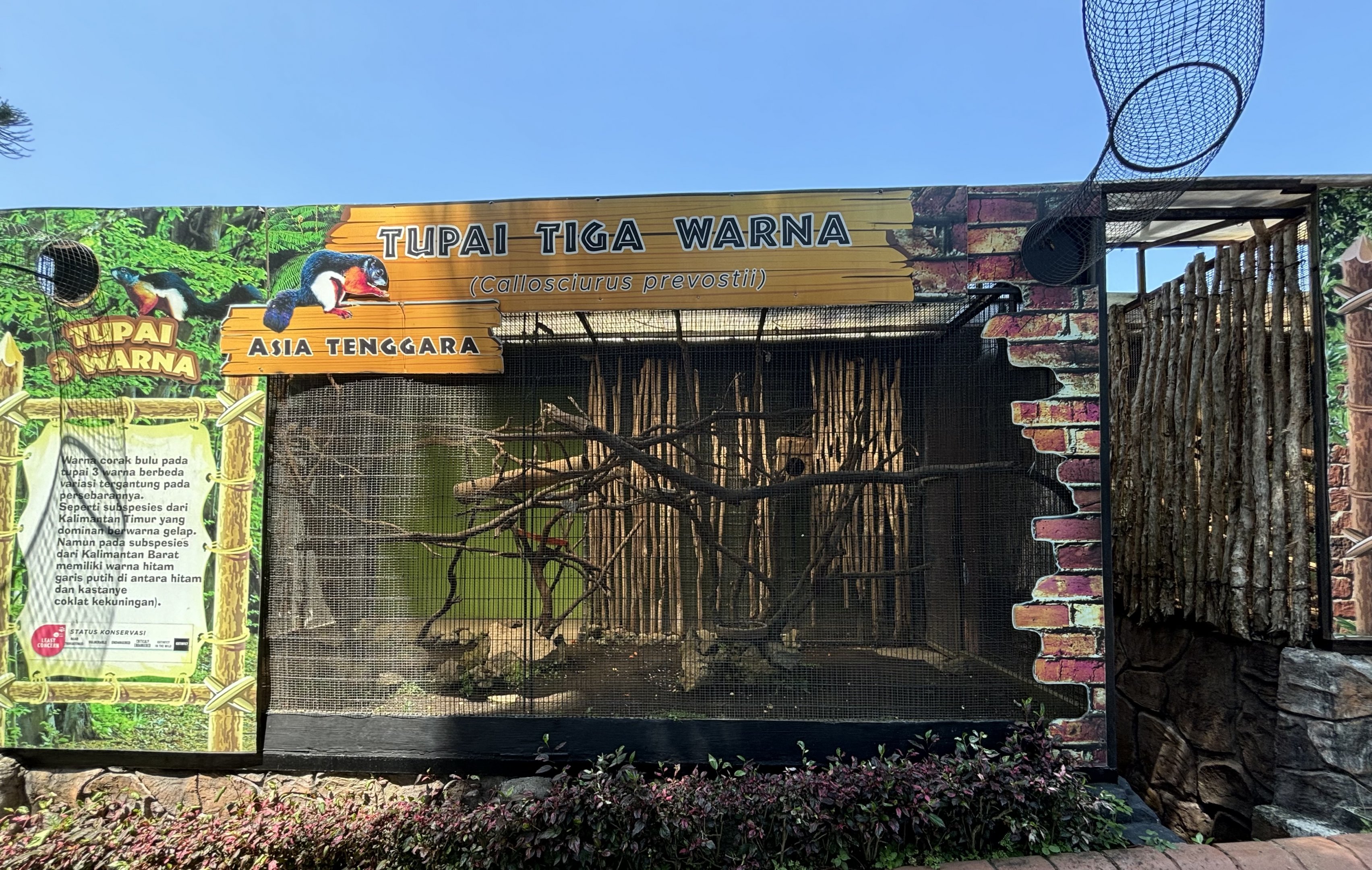 Prevost’s Squirrel Exhibit